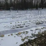 A-7-avril-2015-vignoble_sud_IMG_3234