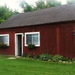 La Chouette au village