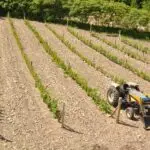 G-14-juin-2013-DSC_0080-B