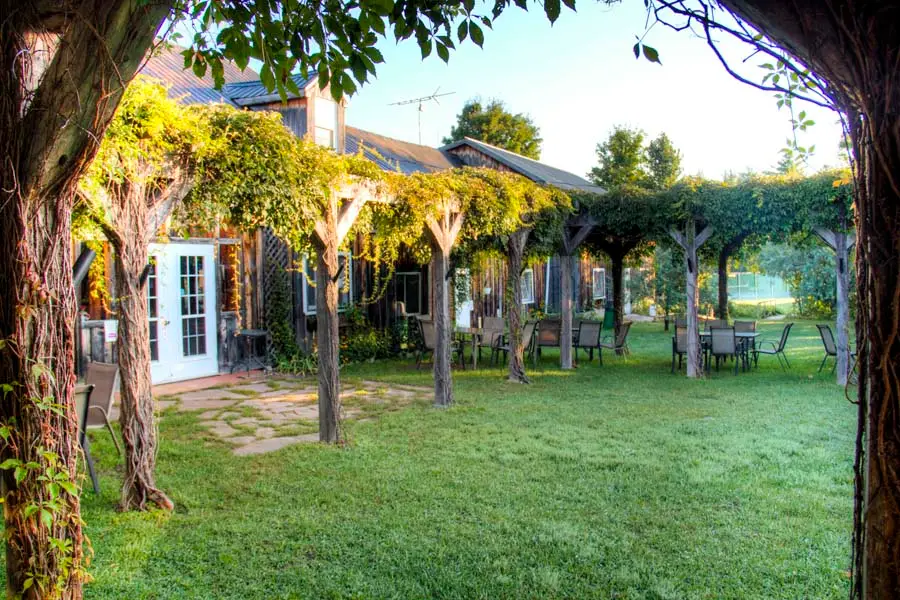 Terrasse du restaurant